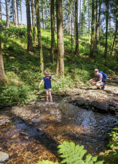 Im Schwarzwaldbach © Eberle/Schwarzwald Tourismus