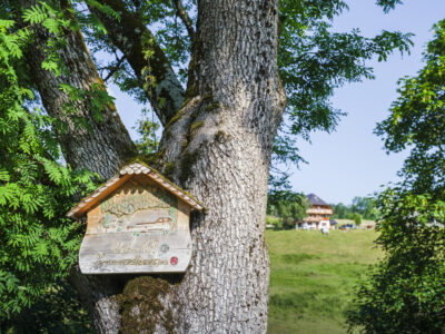 8668 ankommen Fe Wo Urbanshof Jun23 Eberle Schwarzwald Tourismus 198