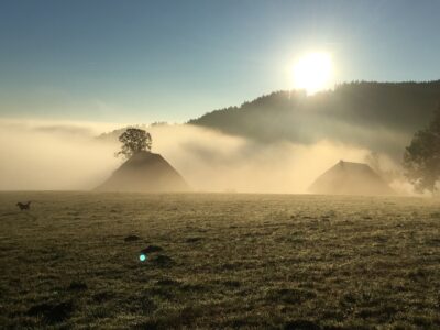 Urbanshof im Nebel