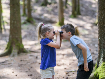 Kuckuck © Eberle/Schwarzwald Tourismus