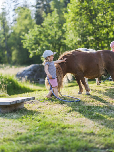 Pony © Eberle/Schwarzwald Tourismus