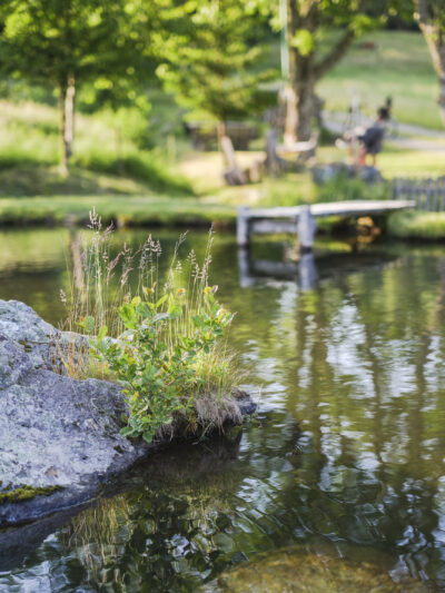 Am Hof-Weiher © Eberle/Schwarzwald Tourismus