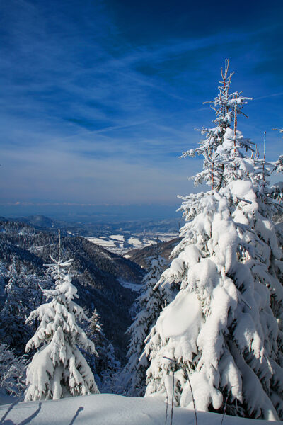 Winter im Schwarzwald