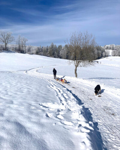 Winterwandern